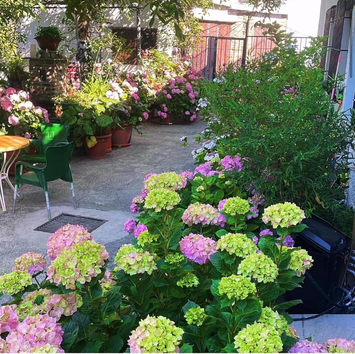 בוביון Hostal Rural Las Terrazas De La Alpujarra מראה חיצוני תמונה
